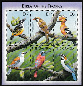 Гамбия, 2000, Птицы, лист